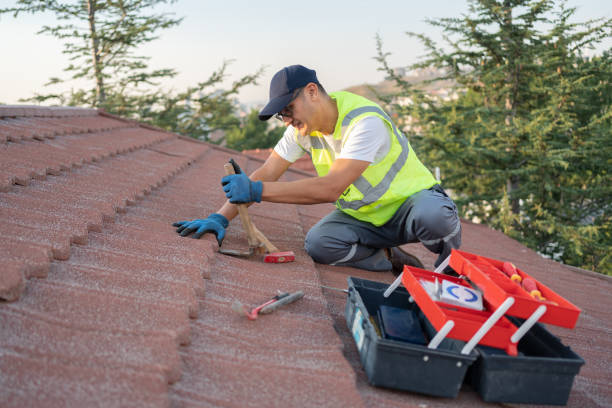 Best Roof Gutter Cleaning  in Lonaconing, MD